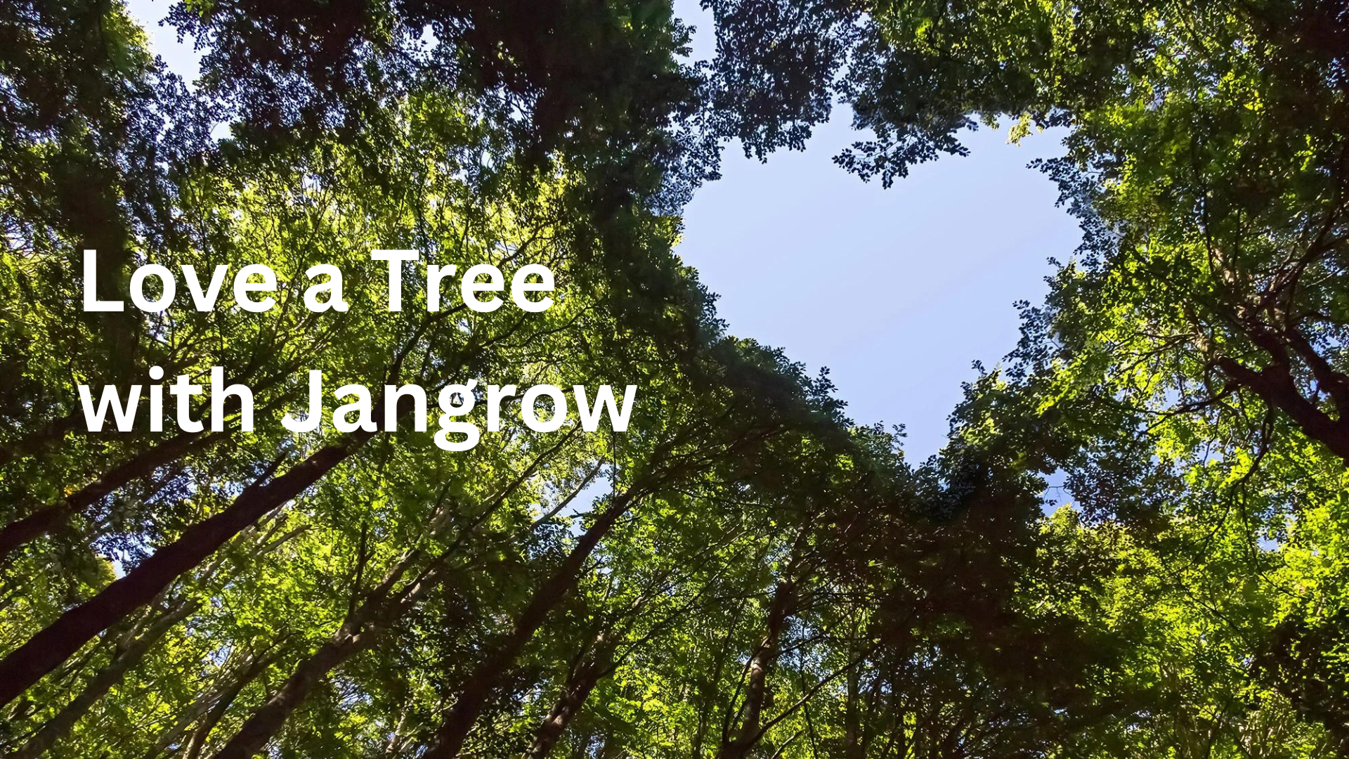 Jangrow a Greener Future